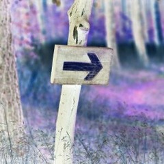 Question That (symphonic instrumental)