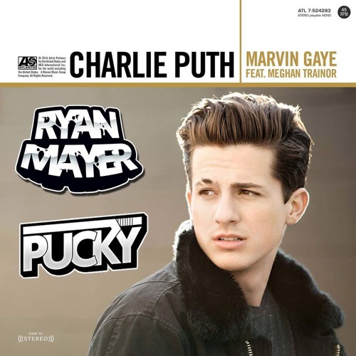 Marvin Gaye (Pucky & Ryan Mayer Bootleg)