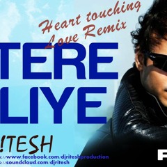 Tere Liye (Prince) Heart Touching Love Remix Ritesh
