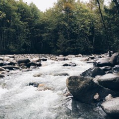 River, Dyfed, June 1993