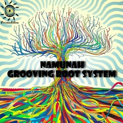 Namunah - Grooving Root System