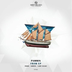 PREMIERE : Pammin - North (Original Mix) / Submarine Vibes