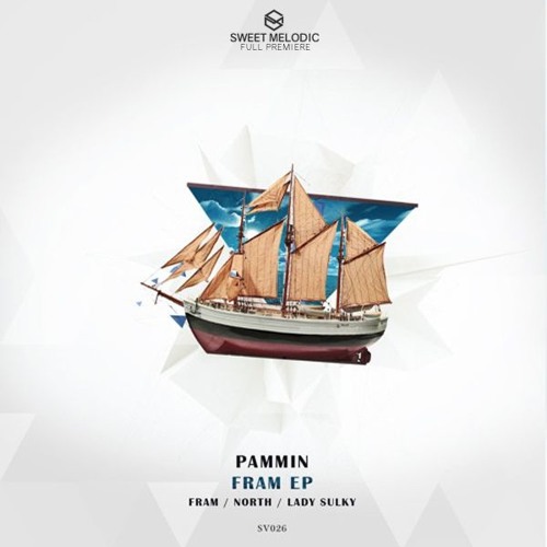 PREMIERE : Pammin - North (Original Mix) / Submarine Vibes