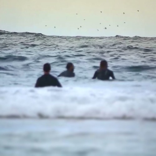 I learned to fall - la follia vivaldi ( fixedform version )