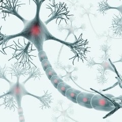Faberlique - Racing neurons (Unrelease Guava Label, Free Download)
