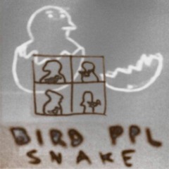 PREMIERE: Snake - Bird People [Shit Music For Shit People]