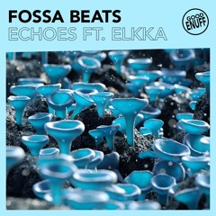 Fossa Beats - Echoes (feat. Elkka)