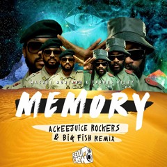 Machel Montano & Tarrus Riley - Memory (Ackeejuice Rockers & Big Fish Remix)