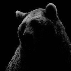 No Straight Line *****FREE DOWNLOAD******