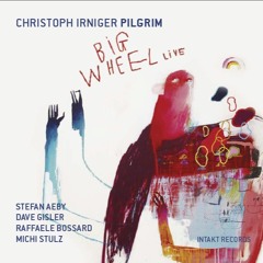 Acid Epic Guitar Solo (Big Wheel LIVE)