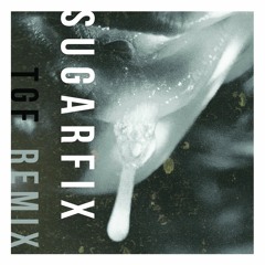 Tamaryn - Sugarfix (Teengirl Fantasy Mix)