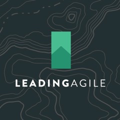 Recommendations for Dealing with Agile and UX