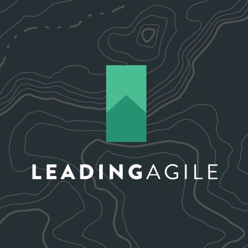 Recommendations for Dealing with Agile and UX