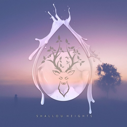 Shallou - Heights