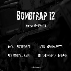B2 Blush Response - DPOEBM