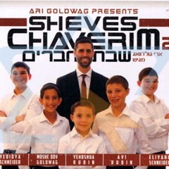 Ari Goldwag & Sheves Chaverim ~ Shir Ushvacha (Dani Treisman Remix)
