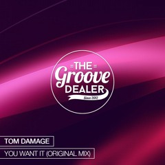 Tom Damage - You Want It (Original Mix) [Free Download]