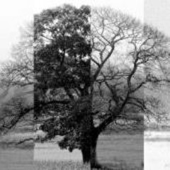 Seasons