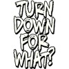 LIL Jon Feat. Dj Snake Vs. Brillz & Teddy Tuxedo - Turn Down For Bitch (VONIK Mashup Edit)