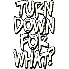 LIL Jon Feat. Dj Snake Vs. Brillz & Teddy Tuxedo  - Turn Down For Bitch (VONIK Mashup Edit)