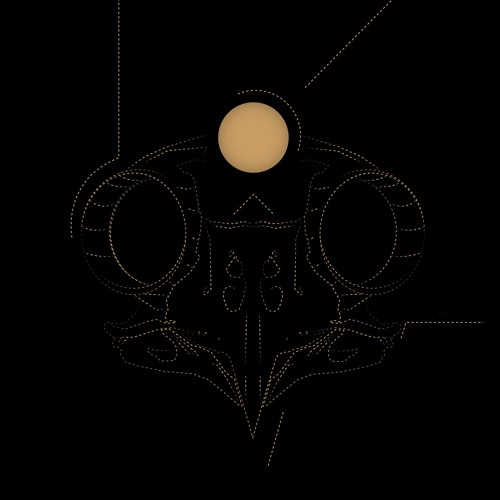 scalar-field