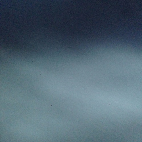 scourings w/ derrick boo