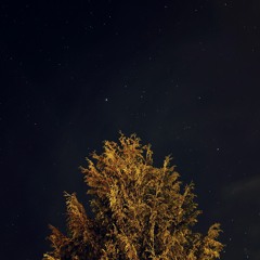 Valerie - Kirsty Yoxon & The Angels With Dirty Faces