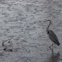 2016 - 04 - 12  3. Current In Rain