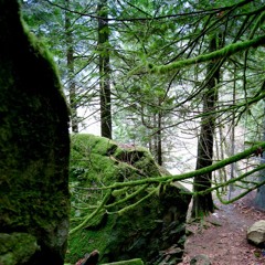 Rákóczi Siralma (Rákóczi's Lament) - tárogató