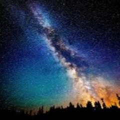 Dream in Dopamine II