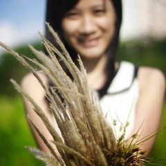 I Love Everything Of You - Hand Leajung   Bài Hát, Lyrics