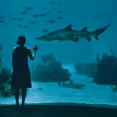 Do You Think That's Air You're Breathing?