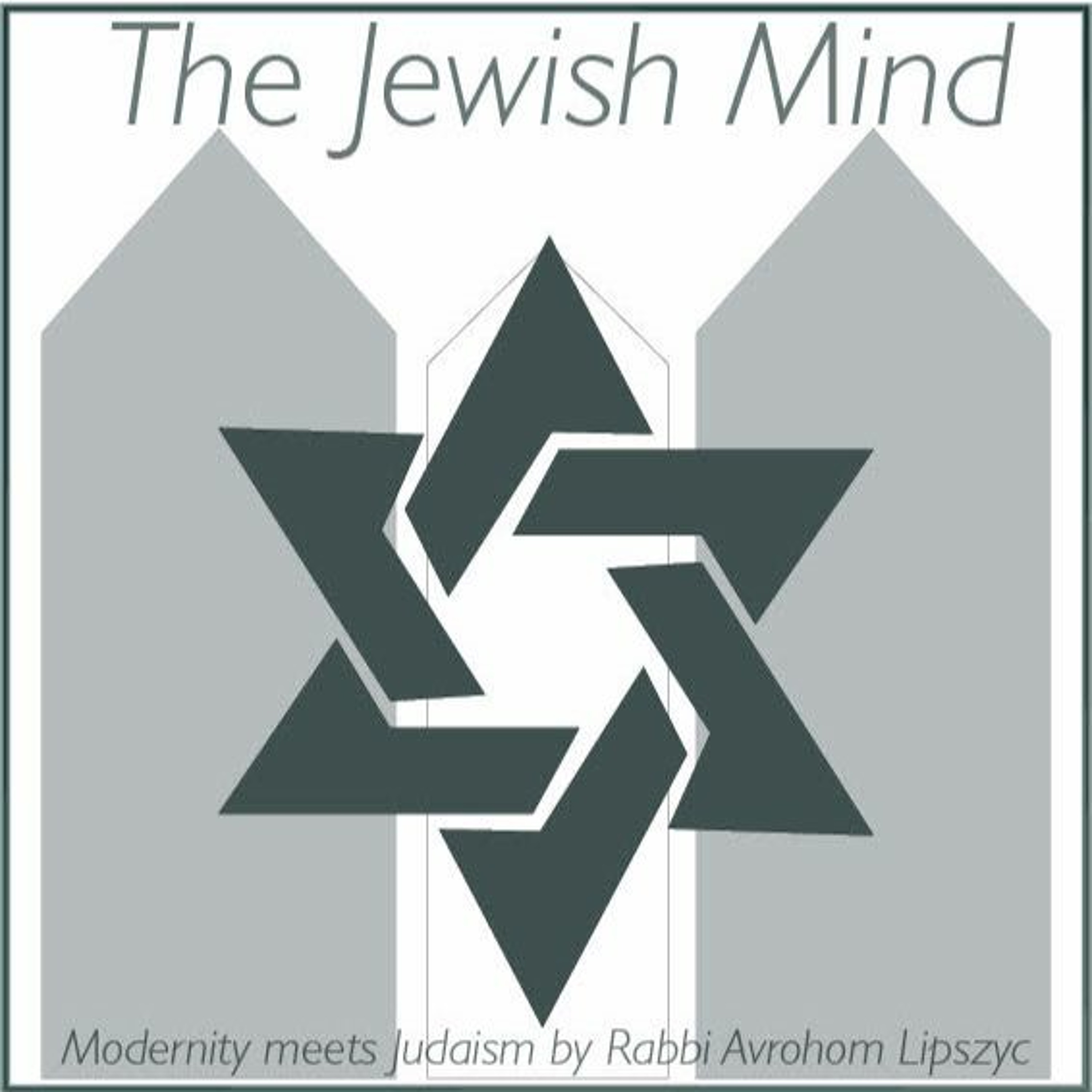 27. Metzorah: E Unum Pluribus ~Embracing The Wealth Of Who We Are episode artwork