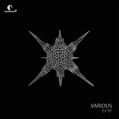 [SS033] DSCRD, Rasmus Hedlund, Vadim Griboedov, Vesa-Matti - EX EP (preview)