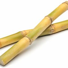 Zimpraise - Mweya Washe (Zimpr