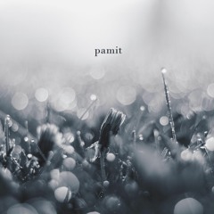 Tulus - Pamit (eclat cover)