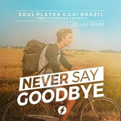 Soul Player & Gui Brazil Feat. Vanessa Correia  Never Say Goodbye  (Zelukii Remix)