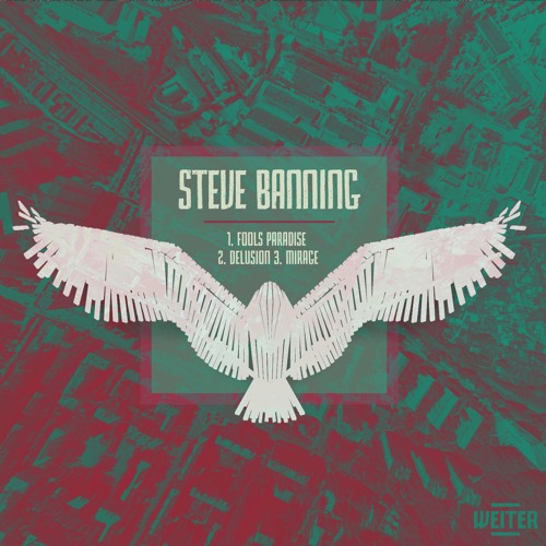 Steve Banning- Mirage [WTR007] (Preview)