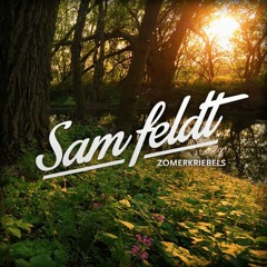 Sam Feldt - Zomerkriebels (Mixtape)