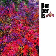 BRS 096 Landhouse, Raddantze - Orakkayy (Original Mix) preview