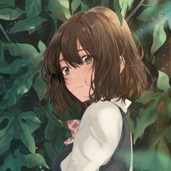 Best Playlist E.D.M