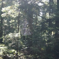 Esti Dal (Evening Song) - tárogató