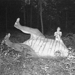 Broke Till I'm Dead (Ft. Hoofilp)// Heaven Sent (Ft. Choices In Fiction, Hooflip, White Noise)