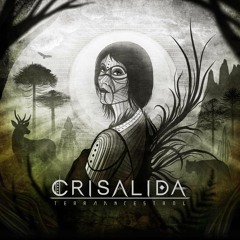 Crisalida - "Violeta Gris" (Terra Ancestral)