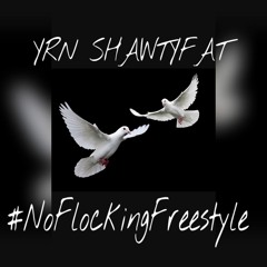 ShawtyFat- No FlockingFreestyle(Premix)