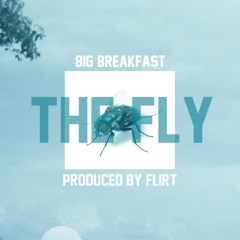 THE FLY (PROD. FLIRT) (SECRET RAP TRACK)(NOT FROM MY ALBUM!)