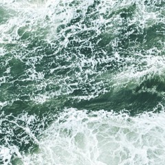 Many rooms - Elisabeth Harder