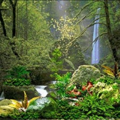 Tending in the Garden Of Eden