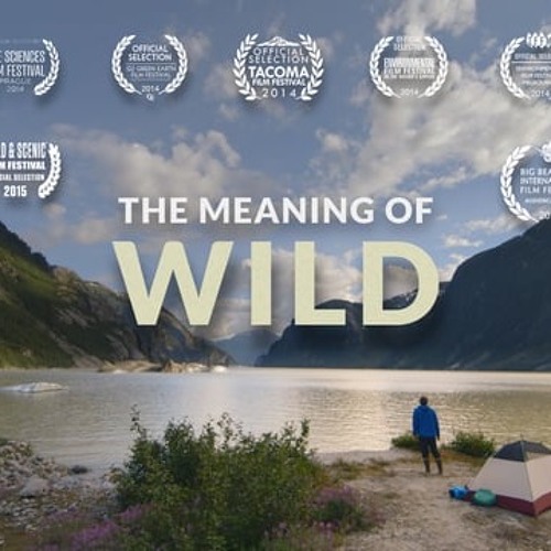 Wild  meaning of Wild 