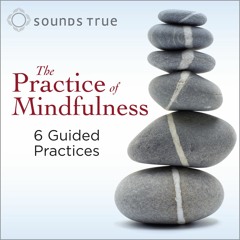 02 - Practice Of Mindfulness